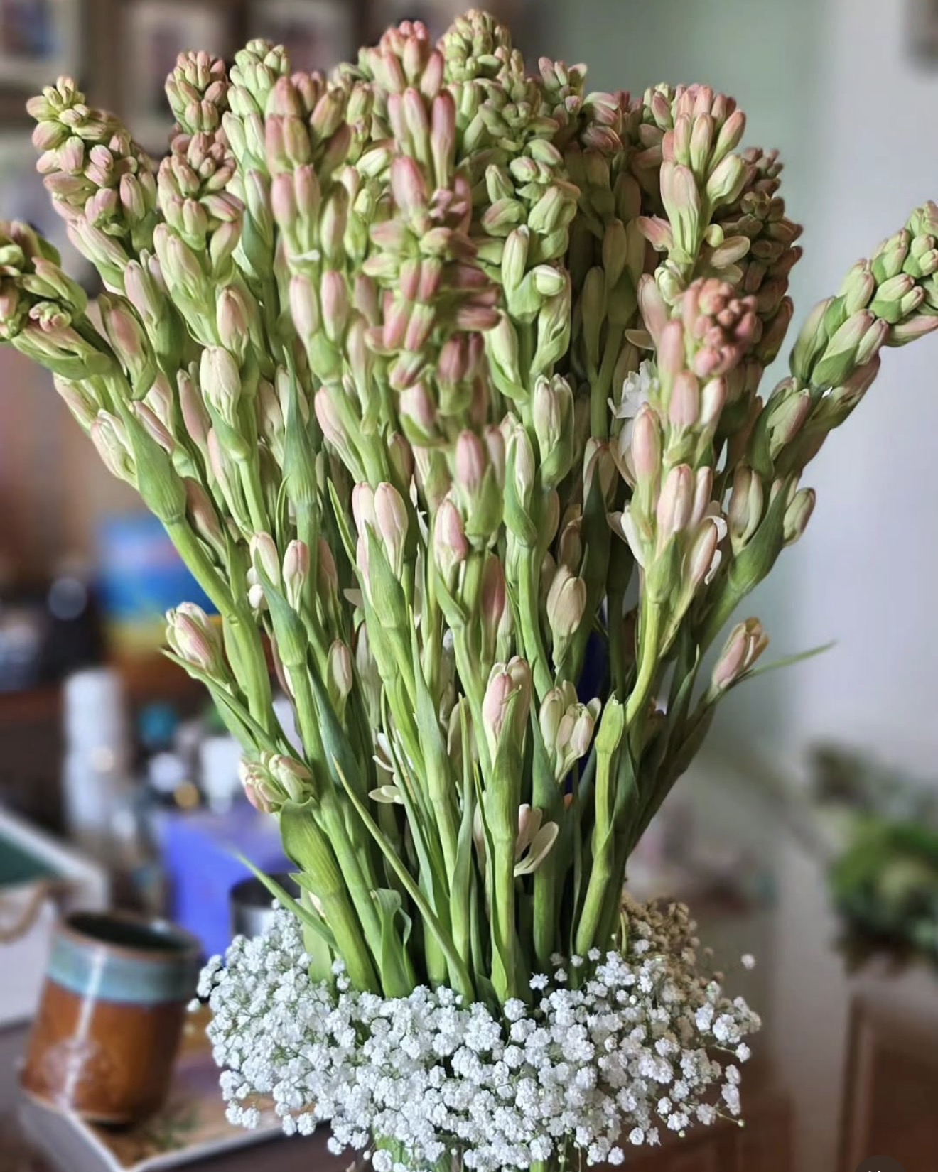 Fresh tuberose stems with baby's breath